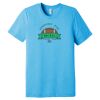 Bella + Canvas Unisex Triblend Short Sleeve Tee Thumbnail